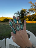 Turquoise Talon Rings